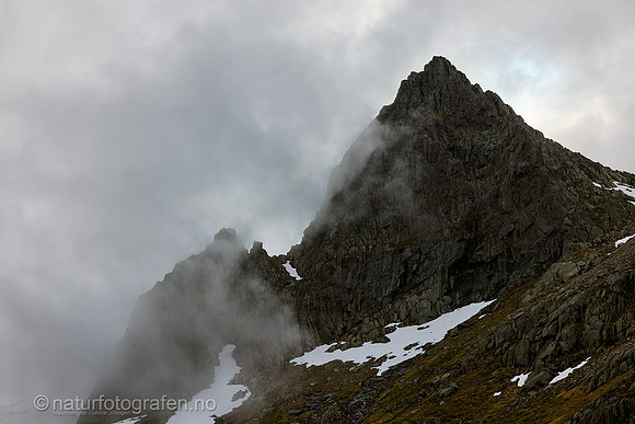 LG2601_070_1280_C