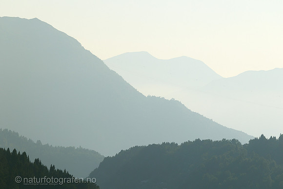 LE2601_030_1280_C
