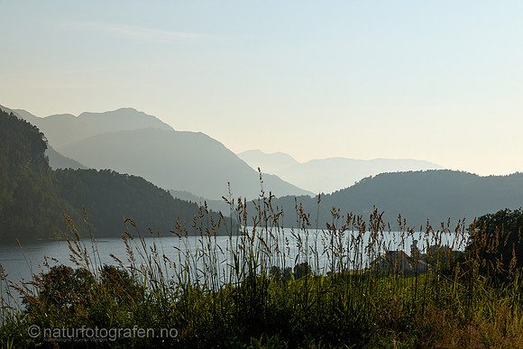 LE2601_043_1280_C