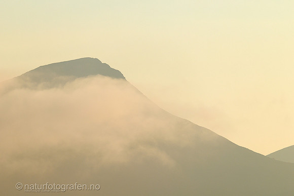 LE2601_068_1280_C