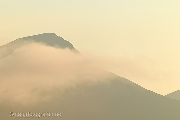LE2601_069_1280_C