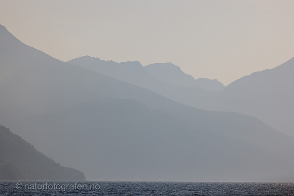 LE2601_009_1280_C