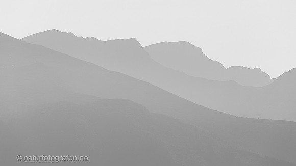 LE2601_020_9x16SvKv_1280_C