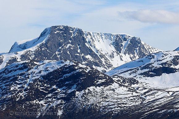 LE26_025_1280_C