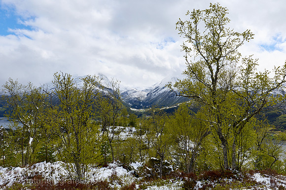 LE26_034_1280_C