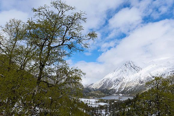 LE26_036_1280_C
