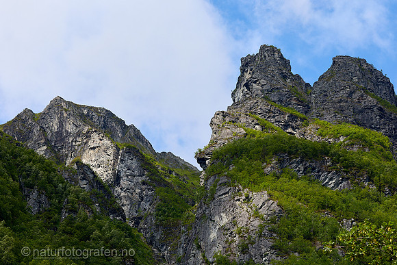 LE26_047_1280_C