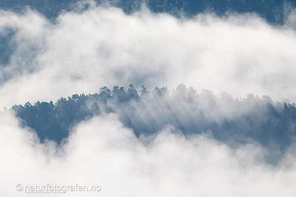 LE26_056_1280_C