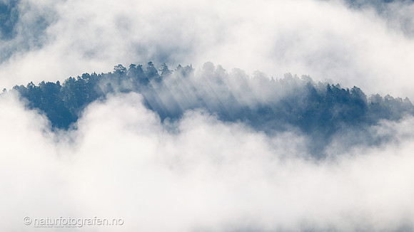 LE26_057_9x16_1280_C