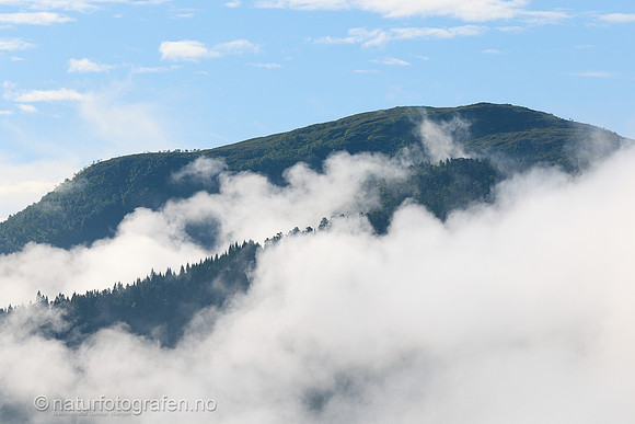 LE26_058_1280_C
