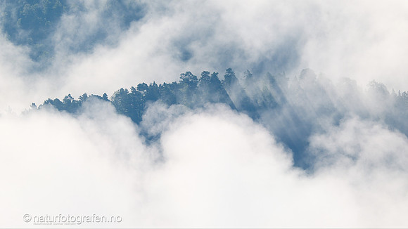 LE26_060_9x16_1280_C