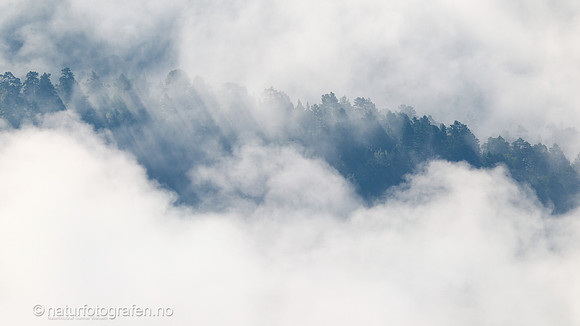 LE26_061_9x16_1280_C
