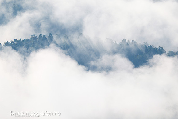 LE26_062_1280_C
