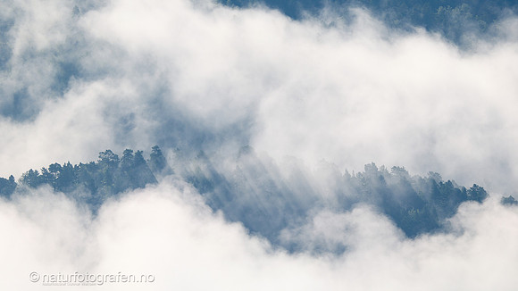LE26_063_9x16_1280_C
