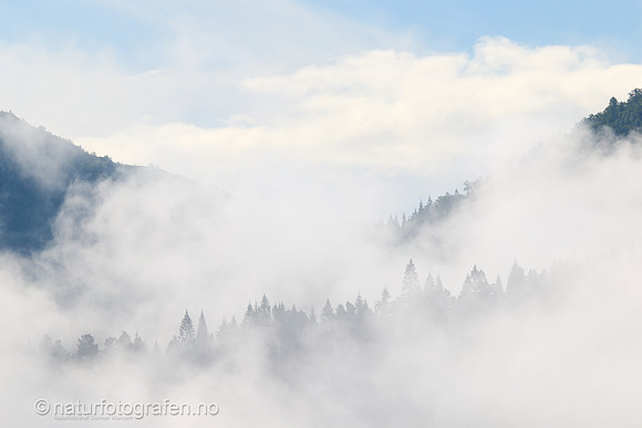 LE26_067_1280_C