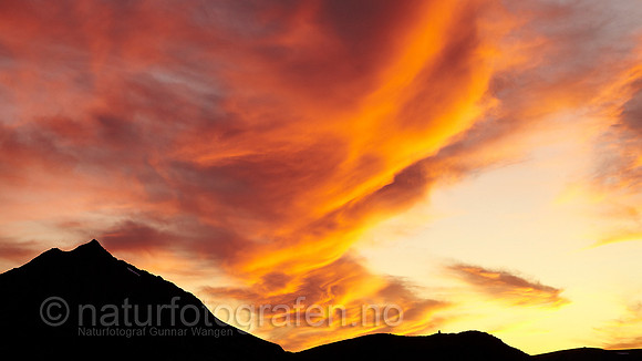 LG1119_188_HD_900_C