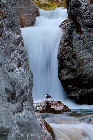 FA2630_003_1280_C_1