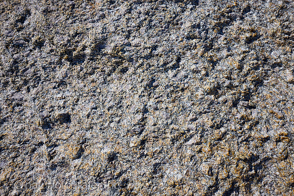 LK2403_097_1200_C