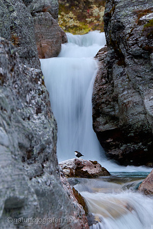 FA2630_003_1280_C_2