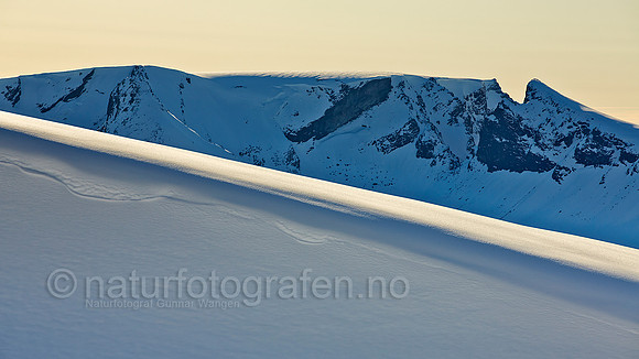 LF1206_099_HD_900_C
