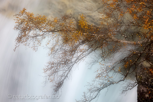 LL2409_008_1280_C