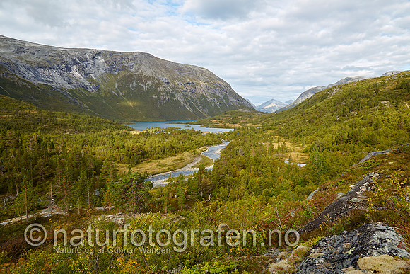 LK1406_009_900_C