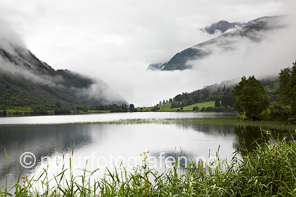 D_LG1012_002_900_C