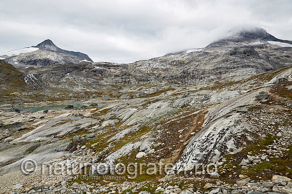 LK1406_198_900_C
