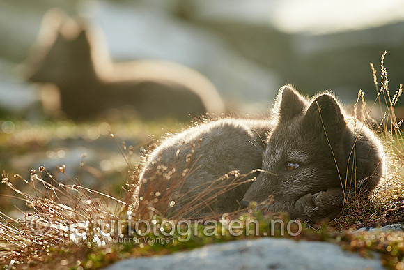 GA1309_033_900_C