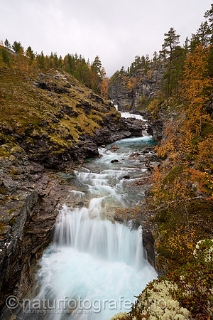 LL2409_017_1280_C