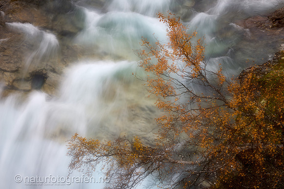 LL2409_004_1280_C