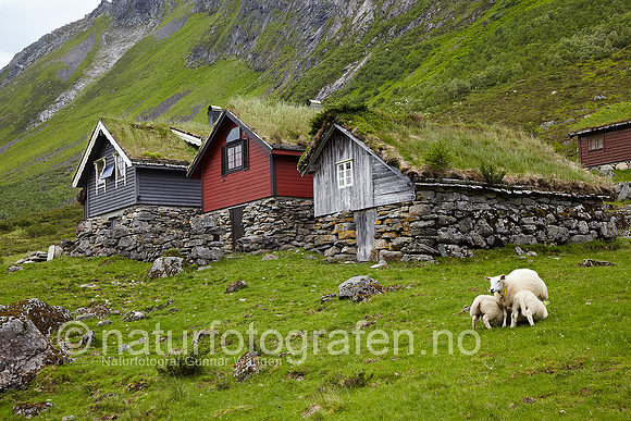 D_LG1009_036_900_C