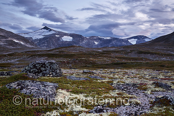 LK1406_065_900_C