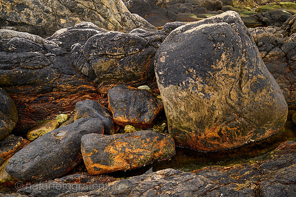 LA2109_027_1200_C