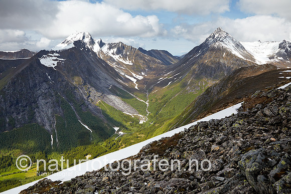D_LG1002_077_900_C