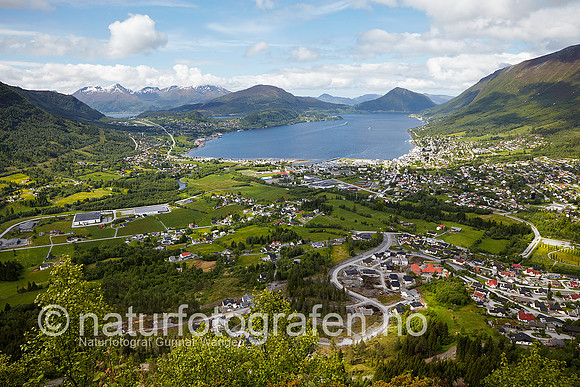 D_LG1002_010_900_C