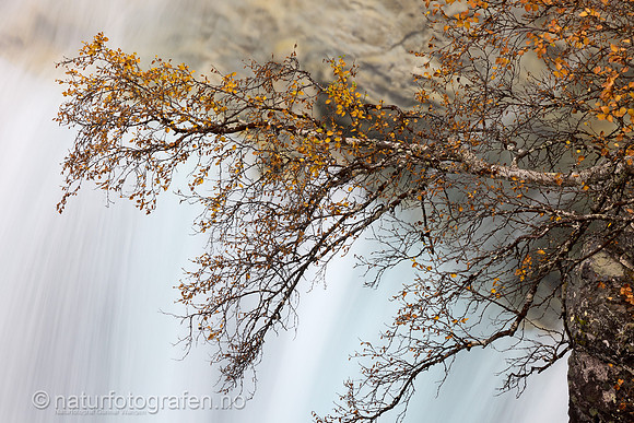 LL2409_007_1280_C