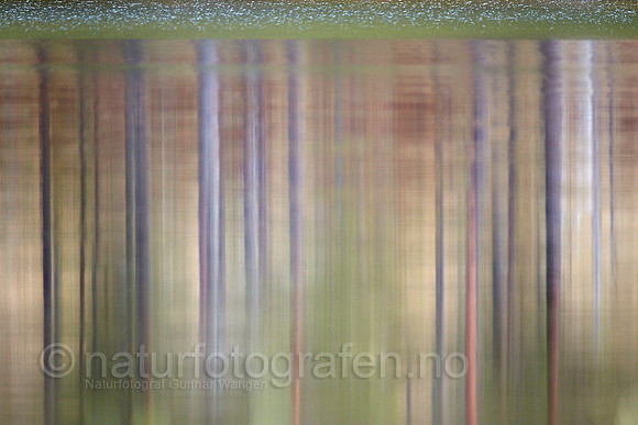LE14_061_900_C