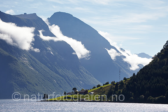 D_LG1001_036_900_C