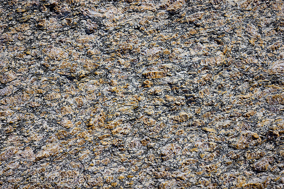 LK2403_096_1200_C
