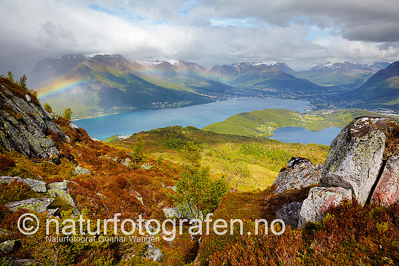 D_LG0904_007_900_C