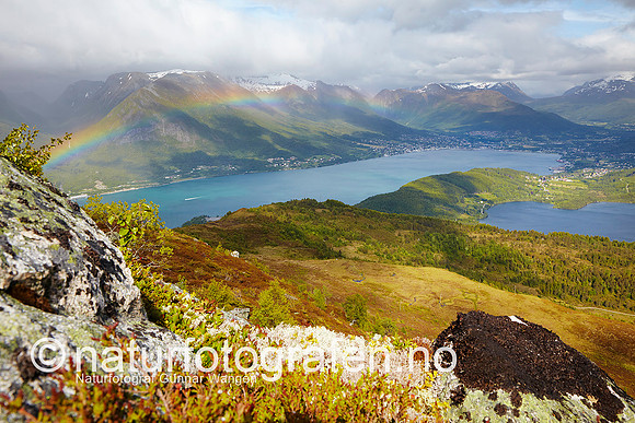 D_LG0904_010_900_C