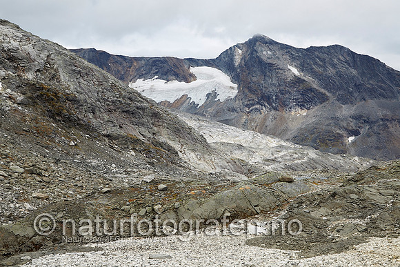 LK1406_256_900_C