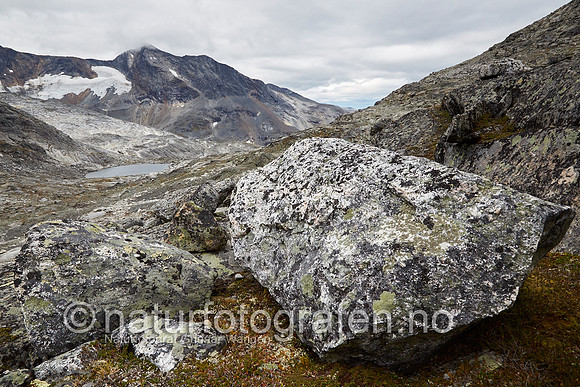 LK1406_249_900_C