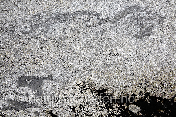 LK1406_242_900_C