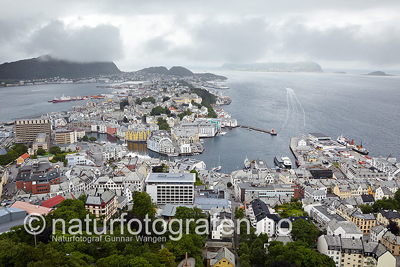 D_LK1004_039_900_C