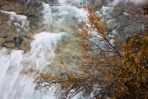LL2409_001_1280_C