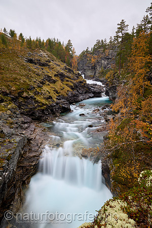 LL2409_018_1280_C