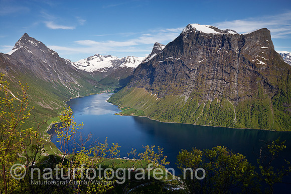 D_LG0708_024_900_C
