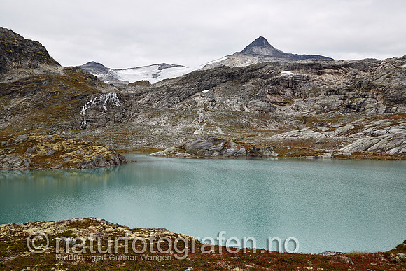 LK1406_199_900_C